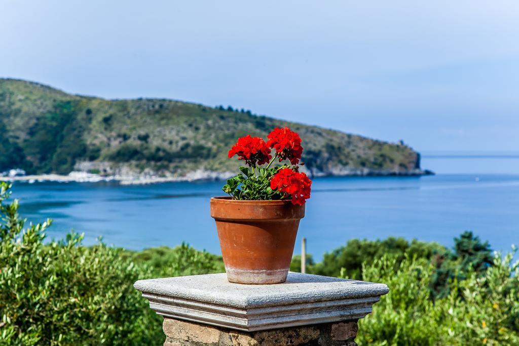 Bed and Breakfast Donnasilia Палинуро Экстерьер фото